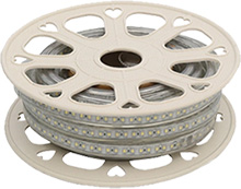 Regular Version(10W/M)